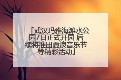 武汉玛雅海滩水公园7日正式开园 后续将推出夏浪音乐节等精彩活动