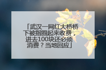 武汉一网红大桥桥下被指圈起来收费，进去100块还必须消费？当地回应