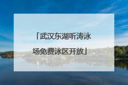 武汉东湖听涛泳场免费泳区开放