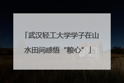 武汉轻工大学学子在山水田间感悟“粮心”