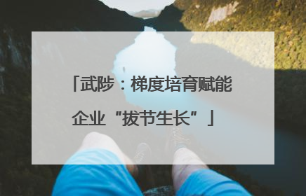 武陟：梯度培育赋能企业“拔节生长”
