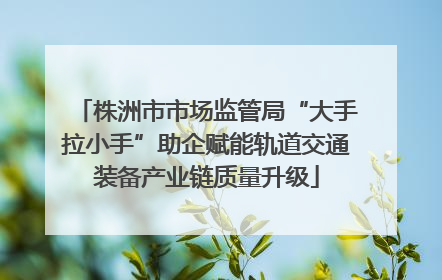 株洲市市场监管局“大手拉小手”助企赋能轨道交通装备产业链质量升级