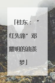 桂东：“红先锋”邓耀明的油茶梦