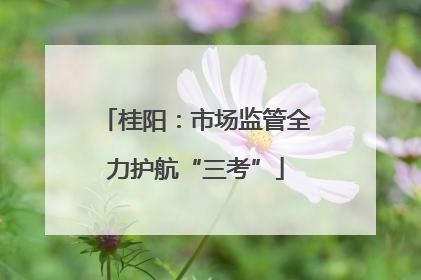 桂阳：市场监管全力护航“三考”