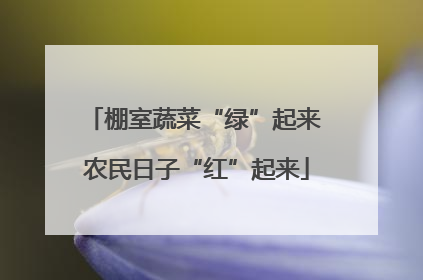 棚室蔬菜“绿”起来 农民日子“红”起来