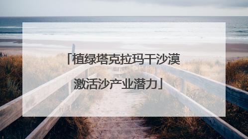 植绿塔克拉玛干沙漠 激活沙产业潜力