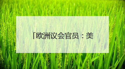 欧洲议会官员：美政府提高钢铝关税至50%毫无道理