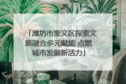 潍坊市奎文区探索文旅融合多元赋能 点燃城市发展新活力