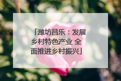潍坊昌乐：发展乡村特色产业 全面推进乡村振兴