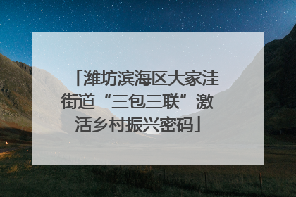 潍坊滨海区大家洼街道“三包三联”激活乡村振兴密码