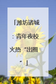 潍坊诸城：青年夜校火热“出圈”