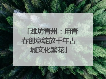 潍坊青州：用青春创意绽放千年古城文化繁花
