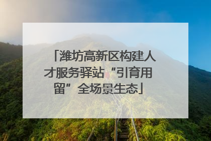 潍坊高新区构建人才服务驿站“引育用留”全场景生态