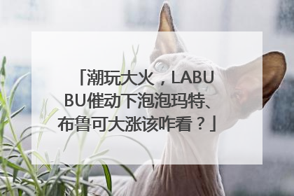 潮玩大火，LABUBU催动下泡泡玛特、布鲁可大涨该咋看？