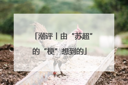 潮评丨由“苏超”的“梗”想到的