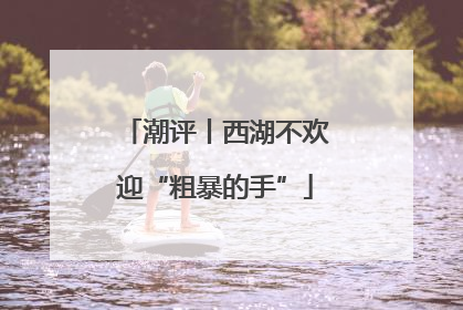 潮评丨西湖不欢迎“粗暴的手”