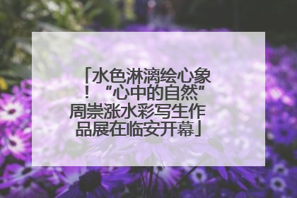 水色淋漓绘心象！“心中的自然”周崇涨水彩写生作品展在临安开幕
