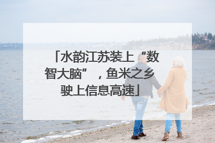 水韵江苏装上“数智大脑”，鱼米之乡驶上信息高速