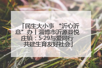 民生大小事 “沂心沂意”办丨淄博市沂源县悦庄镇：5·29与爱同行 共建生育友好社会