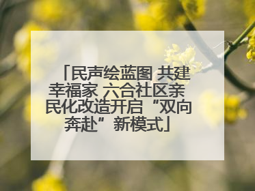 民声绘蓝图 共建幸福家 六合社区亲民化改造开启“双向奔赴”新模式