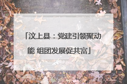 汶上县：党建引领聚动能 组团发展促共富