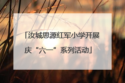 汝城思源红军小学开展庆“六一”系列活动