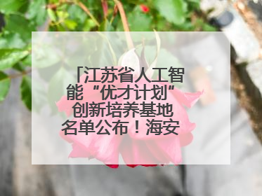 江苏省人工智能“优才计划” 创新培养基地名单公布！海安高级中学入选