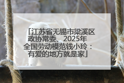 江苏省无锡市梁溪区政协常委、2025年全国劳动模范钱小玲：有爱的地方就是家