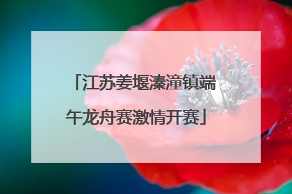 江苏姜堰溱潼镇端午龙舟赛激情开赛