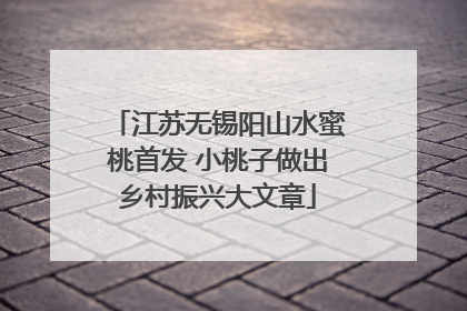 江苏无锡阳山水蜜桃首发 小桃子做出乡村振兴大文章
