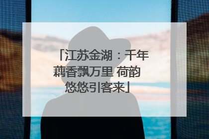 江苏金湖：千年藕香飘万里 荷韵悠悠引客来