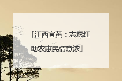 江西宜黄：志愿红助农惠民情意浓