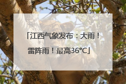 江西气象发布：大雨！雷阵雨！最高36°C
