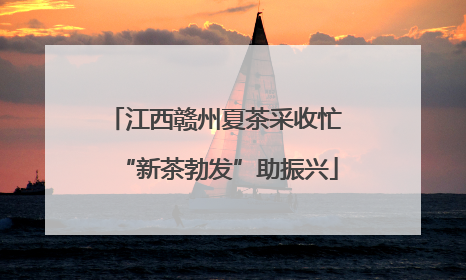 江西赣州夏茶采收忙 “新茶勃发”助振兴