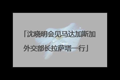 沈晓明会见马达加斯加外交部长拉萨塔一行