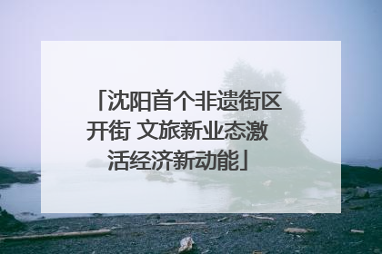 沈阳首个非遗街区开街 文旅新业态激活经济新动能