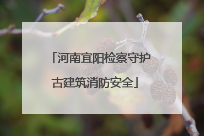 河南宜阳检察守护古建筑消防安全