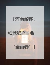 河南新野：绘就稳产丰收“金画卷”
