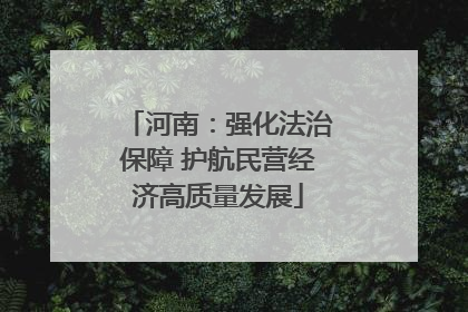 河南：强化法治保障 护航民营经济高质量发展