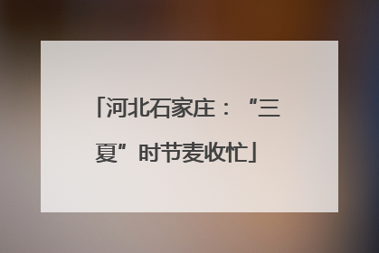 河北石家庄：“三夏”时节麦收忙