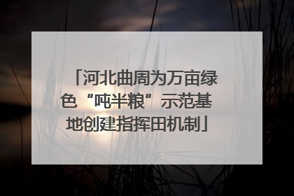 河北曲周为万亩绿色“吨半粮”示范基地创建指挥田机制