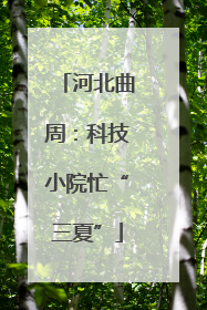 河北曲周：科技小院忙“三夏”