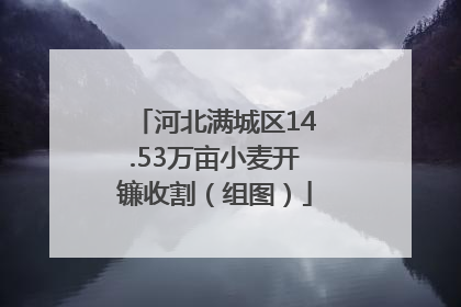 河北满城区14.53万亩小麦开镰收割（组图）