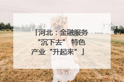 河北：金融服务“沉下去” 特色产业“升起来”