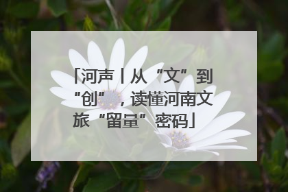 河声丨从“文”到“创”，读懂河南文旅“留量”密码