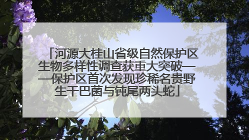 河源大桂山省级自然保护区生物多样性调查获重大突破——保护区首次发现珍稀名贵野生干巴菌与钝尾两头蛇