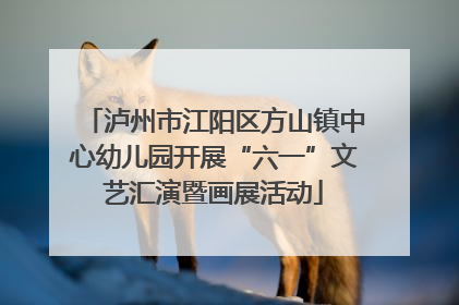 泸州市江阳区方山镇中心幼儿园开展“六一”文艺汇演暨画展活动