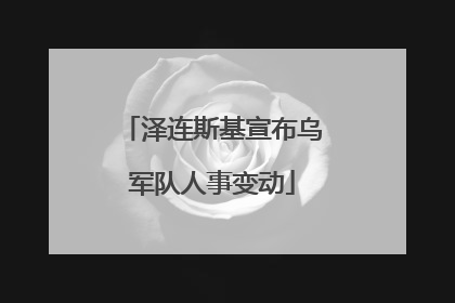 泽连斯基宣布乌军队人事变动