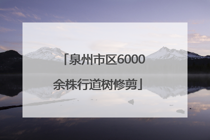 泉州市区6000余株行道树修剪