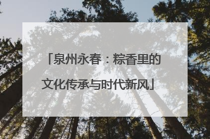 泉州永春：粽香里的文化传承与时代新风